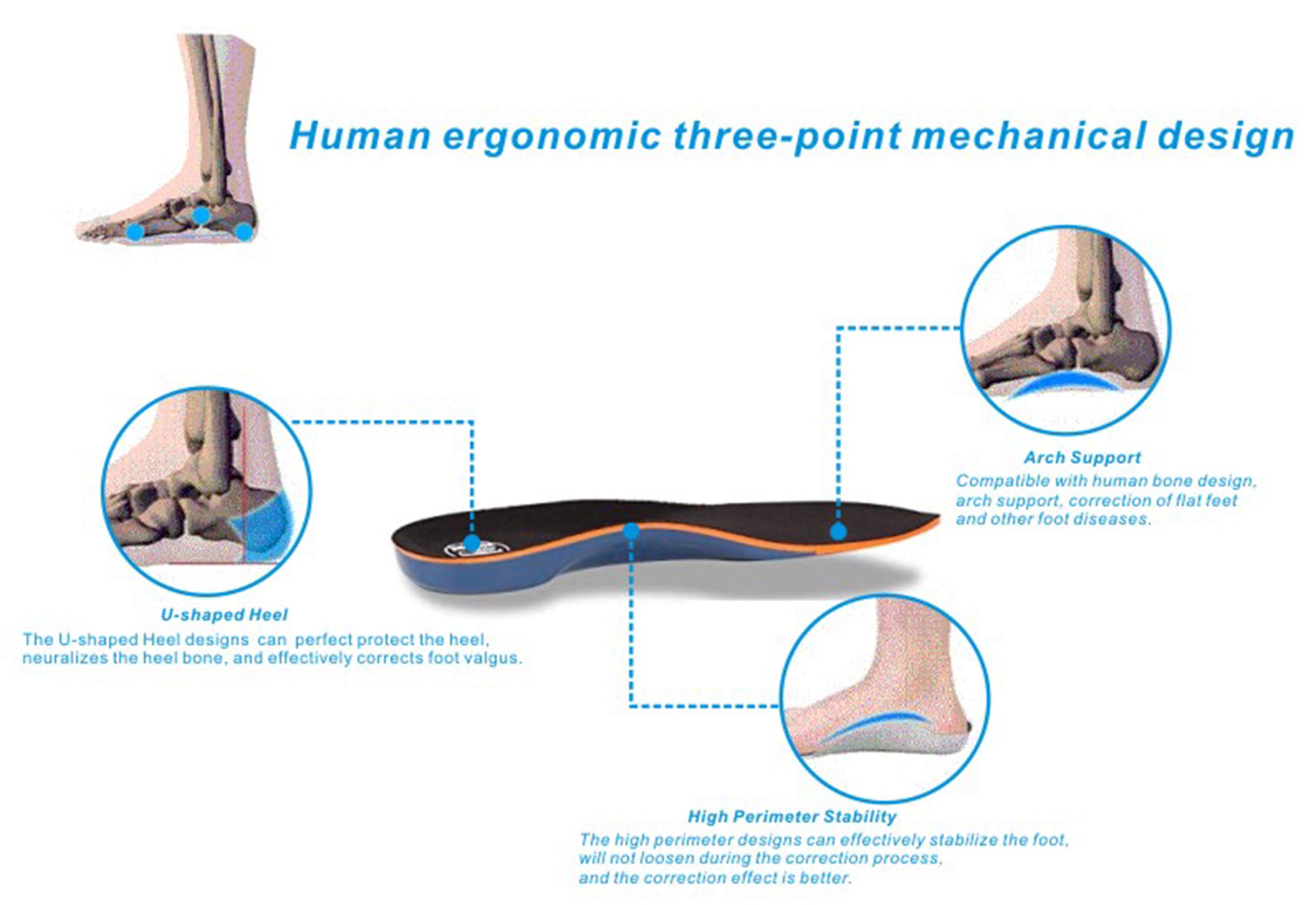 WORKPOINT Shoe Insoles for Men, Memory Foam Insoles Relieve Flat Feet & Heel Pain Anti-Fatigue Arch Support Work Boot/Hiking Shoe Inserts (L) - Image 3